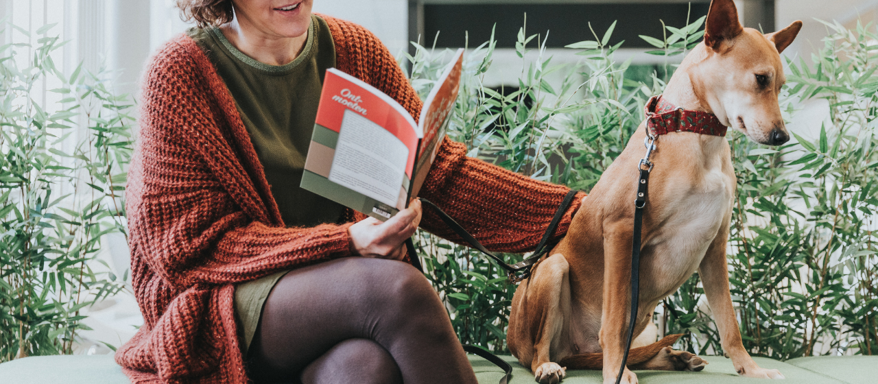 Foto Een baby en een hond in huis: hoe bereid je je voor op die ontmoeting?