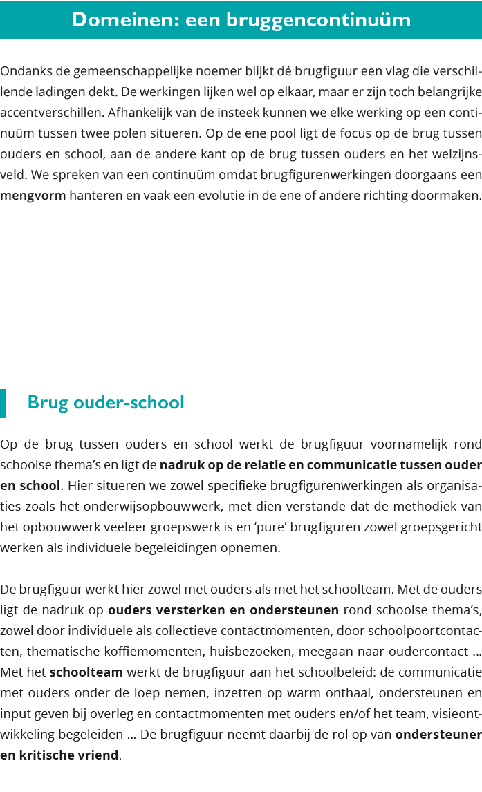Domeinen: een bruggencontinuüm Ondanks de gemeenschappelijke noemer blijkt dé brugfiguur een vlag die verschillende 
