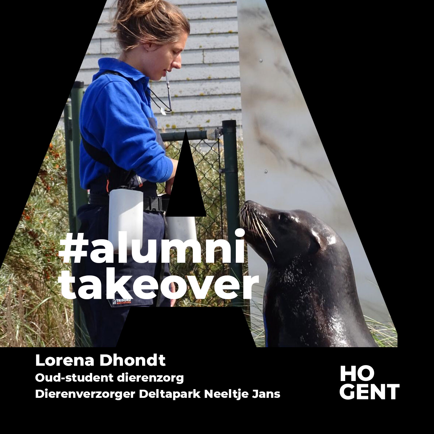 Aankondiging Instagram takeover dierenzorg Lorena