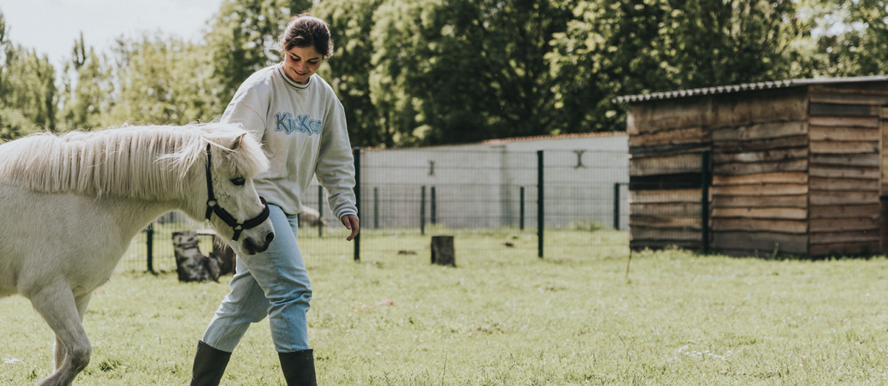 Foto Klasworkshop wormeitjes zoeken in paardenmest