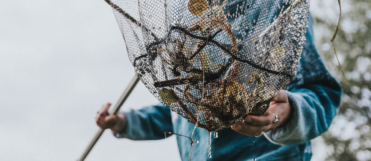 Een student milieu- en duurzaamheidsmanagement vist levend materiaal op uit een vijver op HOGENT-campus Schoonmeersen.