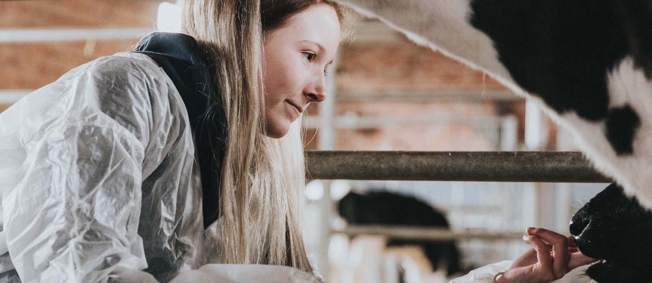 Een landbouwstudente van HOGENT in de stal van een melkveebedrijf.