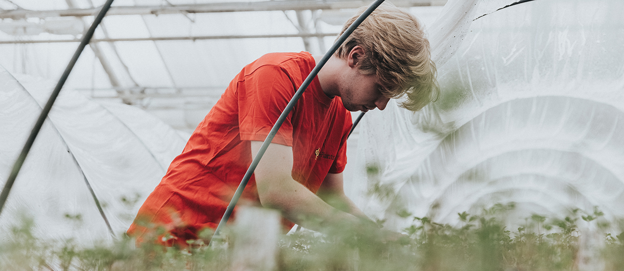 Foto Productiebeheer