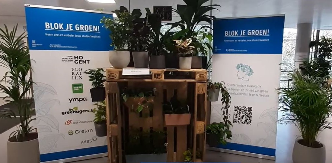 Screenshot video: banner en planten