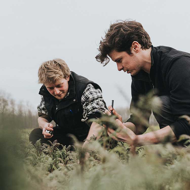 twee studenten planten iets
