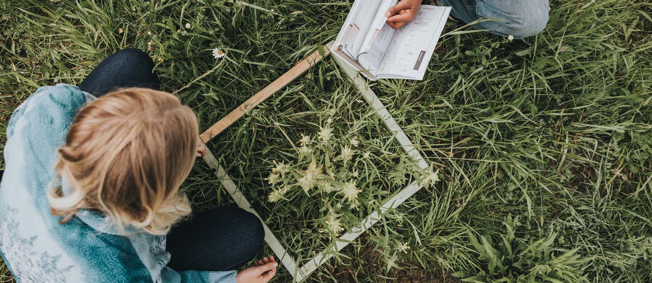 Studenten groenmanagement van HOGENT determineren een plant met bloemen in een natuurdomein.