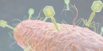 Biodivers Zorggroen