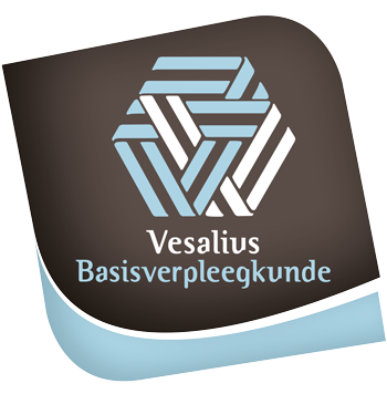 logo vesalius verpleegkunde