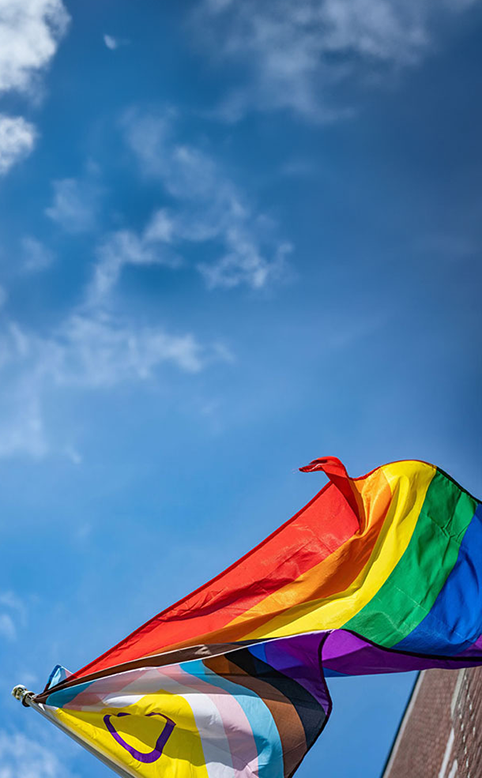 progressieve regenboogvlag