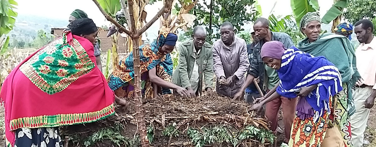 Foto Duurzame landbouw in Rwanda