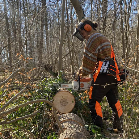 Oud-student Giacinto Rangan verzaagt een omgevallen boom tijdens zijn stage als onderzoeksmedewerker.