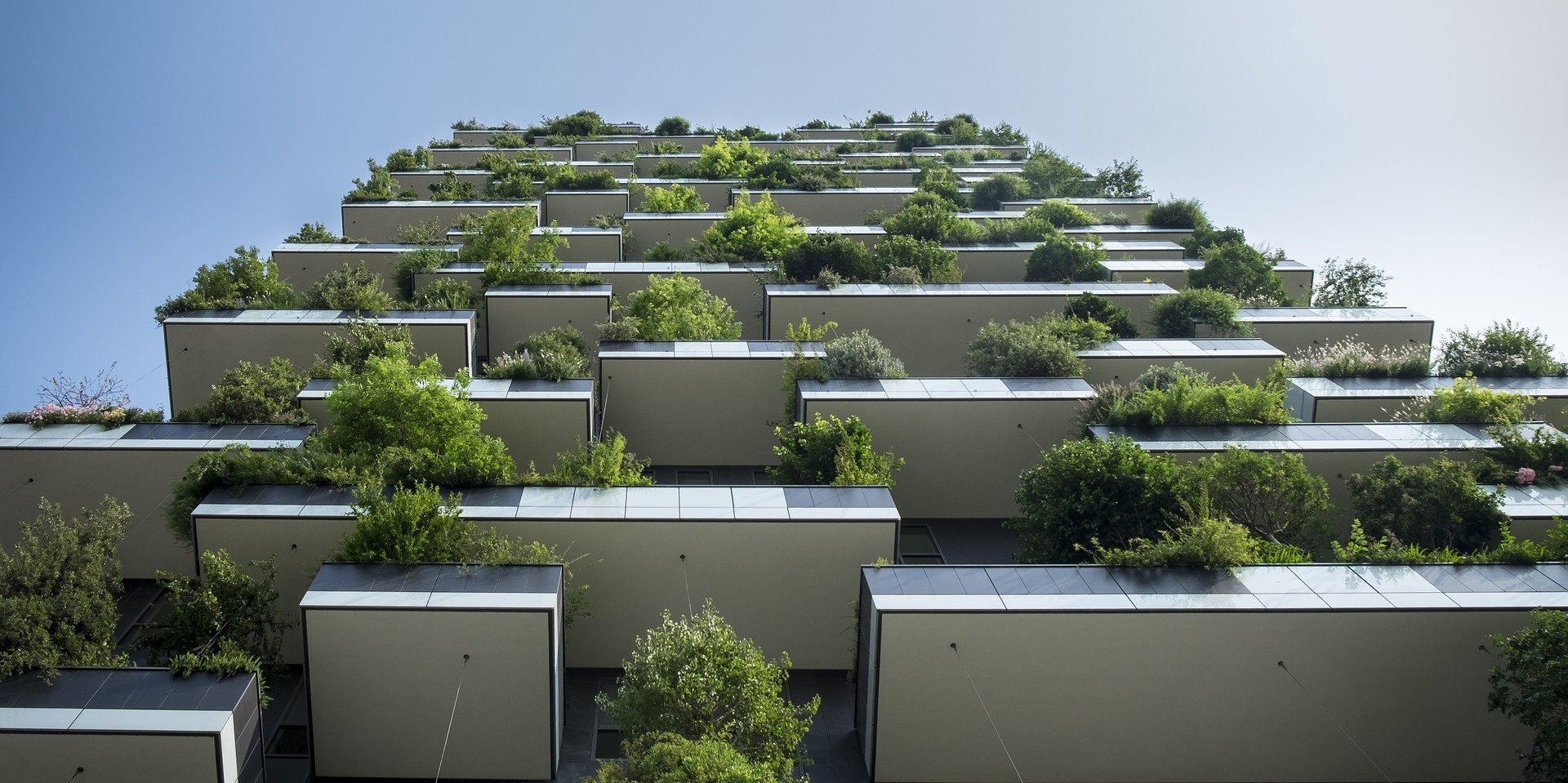 Foto REEKS IMPACT: "De uitdaging: compacter wonen zonder leefbaarheid aan te tasten"