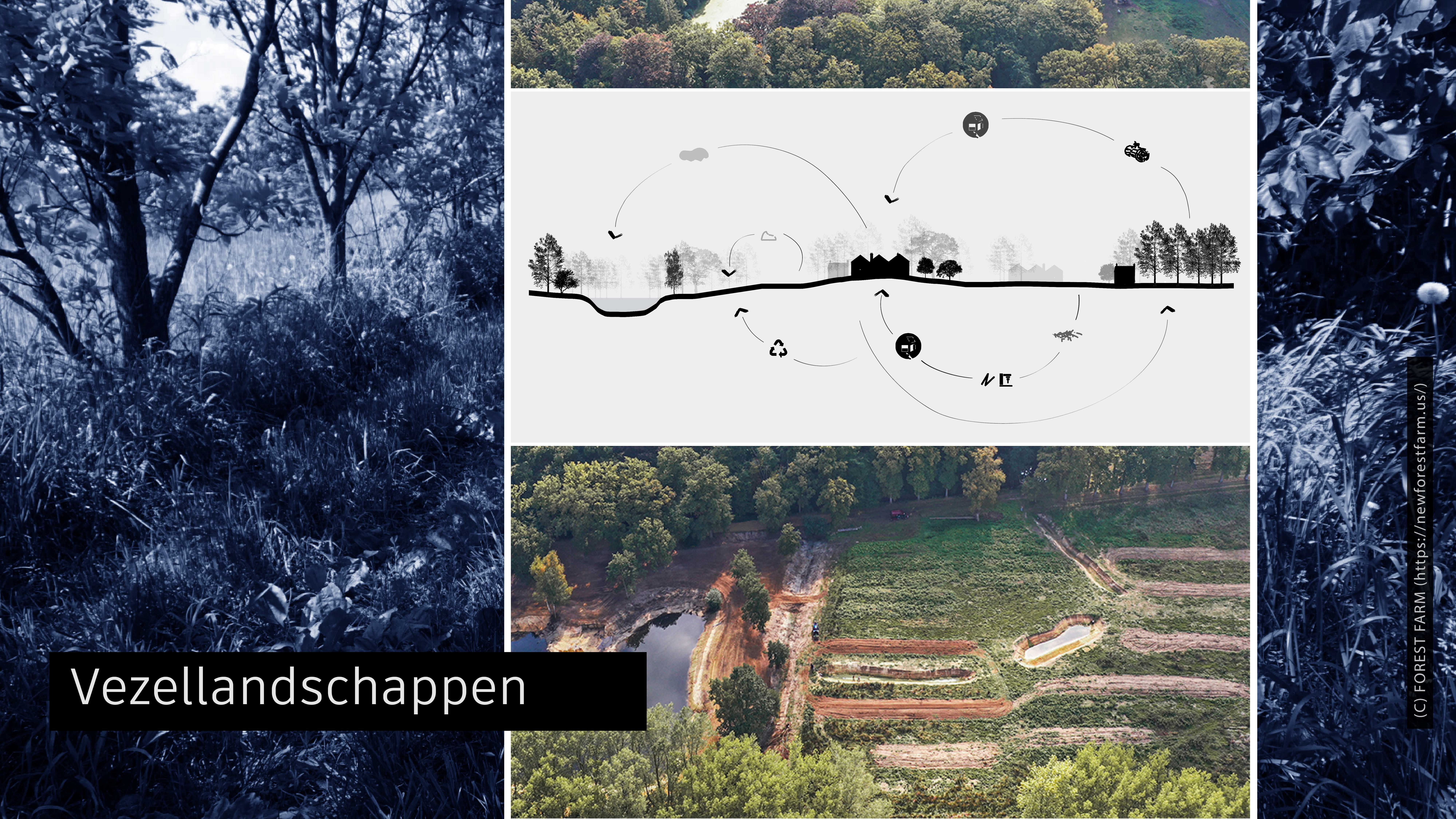 Foto Vezellandschappen