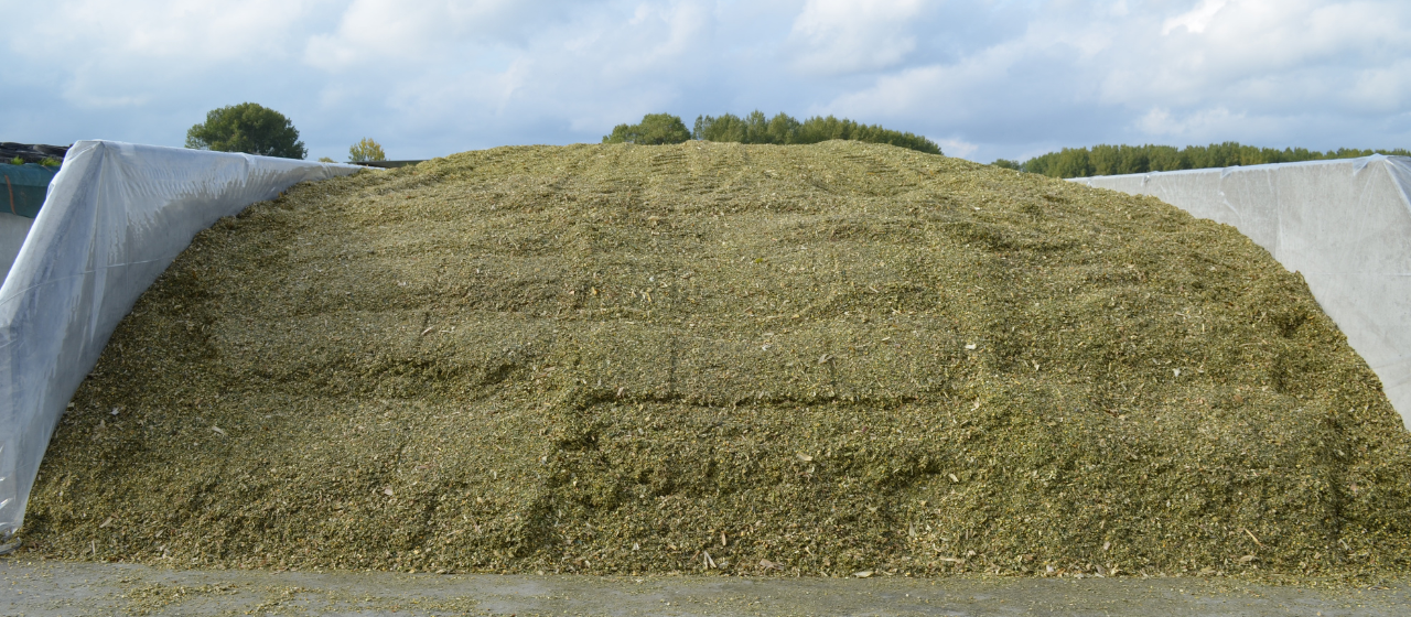 Foto Optimalisatie van kuilvoederproductie