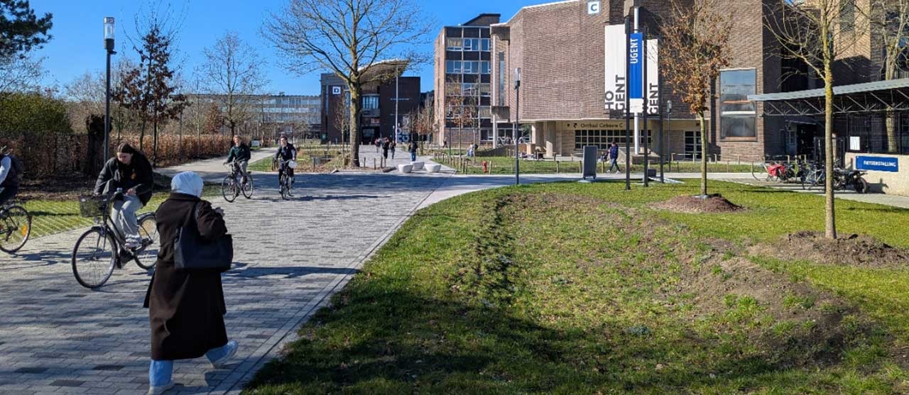 Foto Groen rond gebouw C: keuze voor meer biodiversiteit en klimaatbestendigheid.