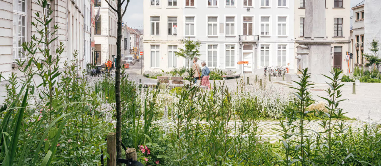 Foto Groen beheren met de buren
