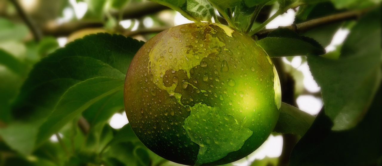 Foto Empowering sustainable choices
