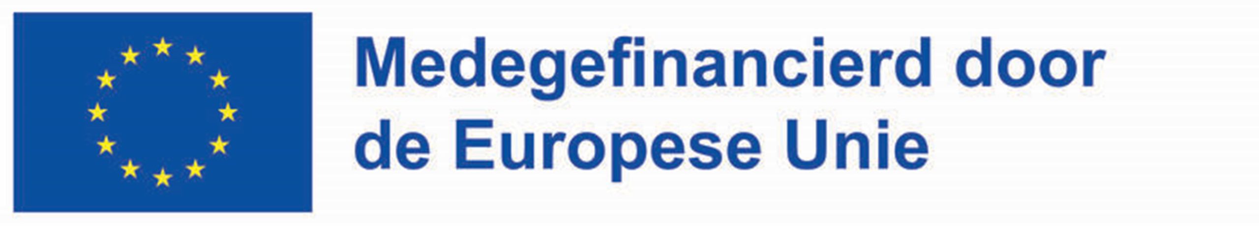 logo medegefinancierd door de eu