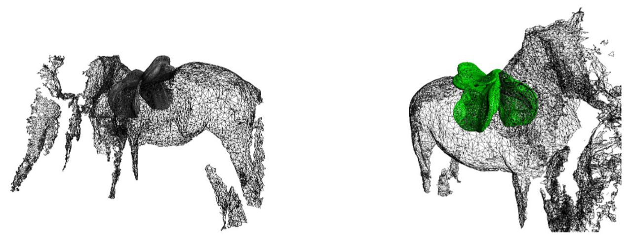 Foto Duurzame paardenhouderij: veiligheid, prestatie & welzijn van paard en ruiter.