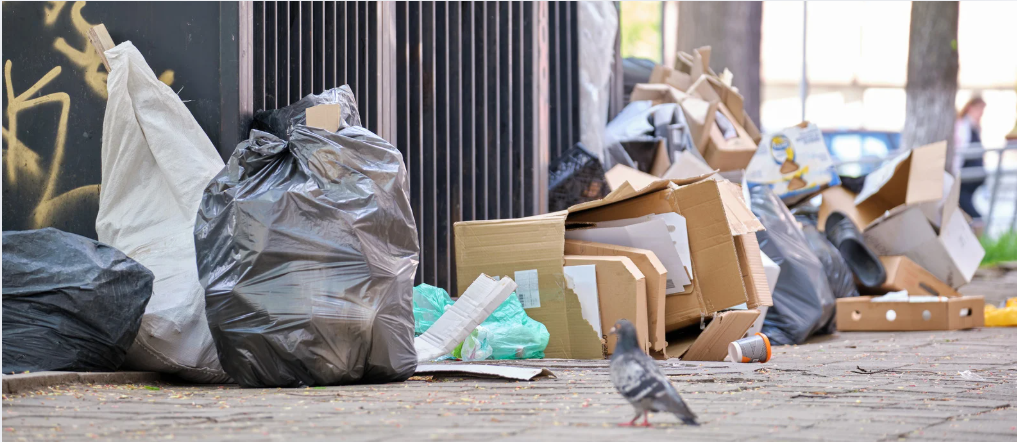 Foto Sluikstorten in de wijk: wat kan je doen als bewoner?