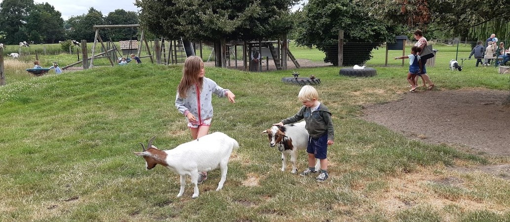 Het potentieel en de risico's van kinderboerderijen