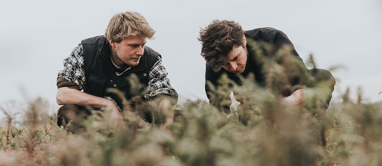 Sfeerbeeld Plant en dier